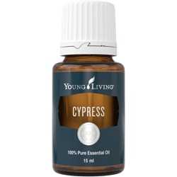 Cypresse