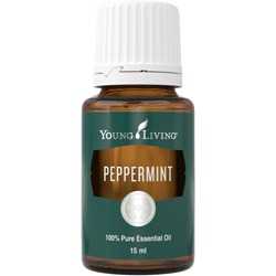 Pfefferminze (peppermint)