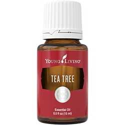 Teebaum (tea Tree)