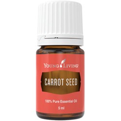 Carrot Seed Öl Karottensamen
