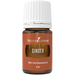 Ginger Ingwer Öl