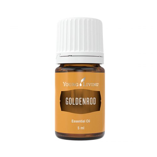 Goldenrod Öl