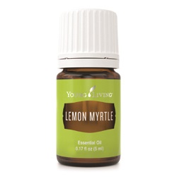Lemon Myrtle Öl