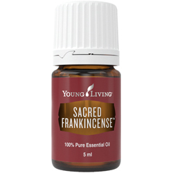 Sacred Frankincense Öl