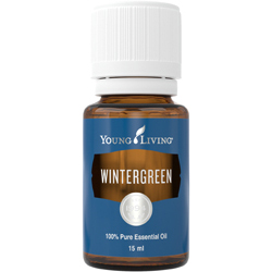 Wintergreen Öl